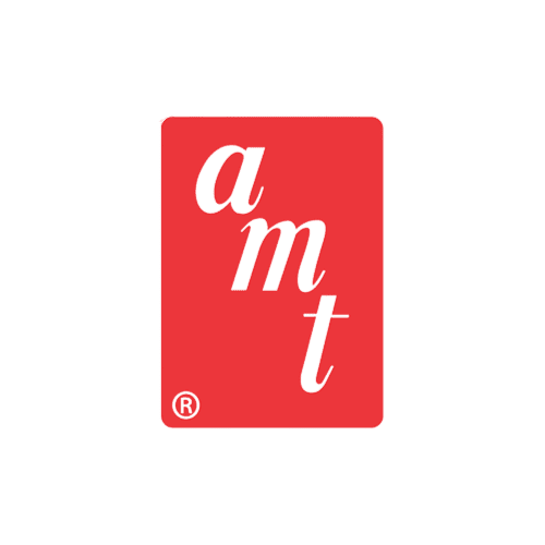 Aluminum Model Toys (AMT)